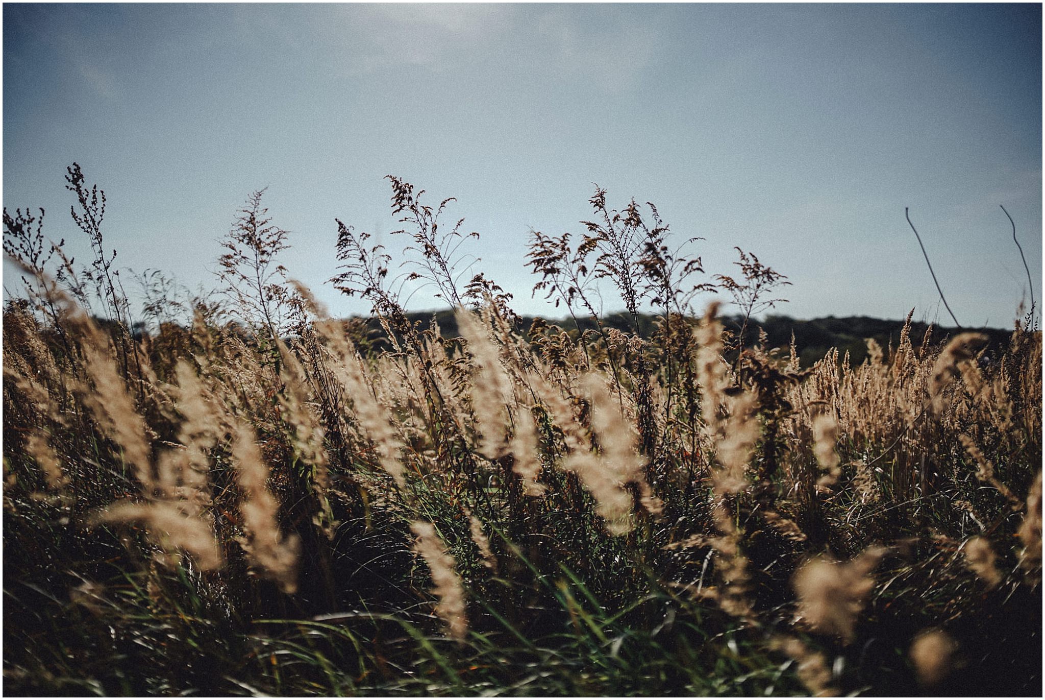 2018,Andrzejewski Pawel,Fotografia slubna,Ustronie Morskie,Wedding photography,www.andrzejewskipawel.com, 2018,Andrzejewski Pawel,Fotografia slubna,Ustronie Morskie,Wedding photography,www.andrzejewskipawel.com,